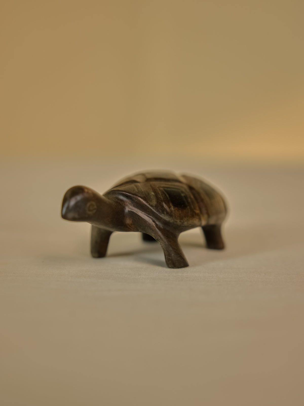 Tortoise Small