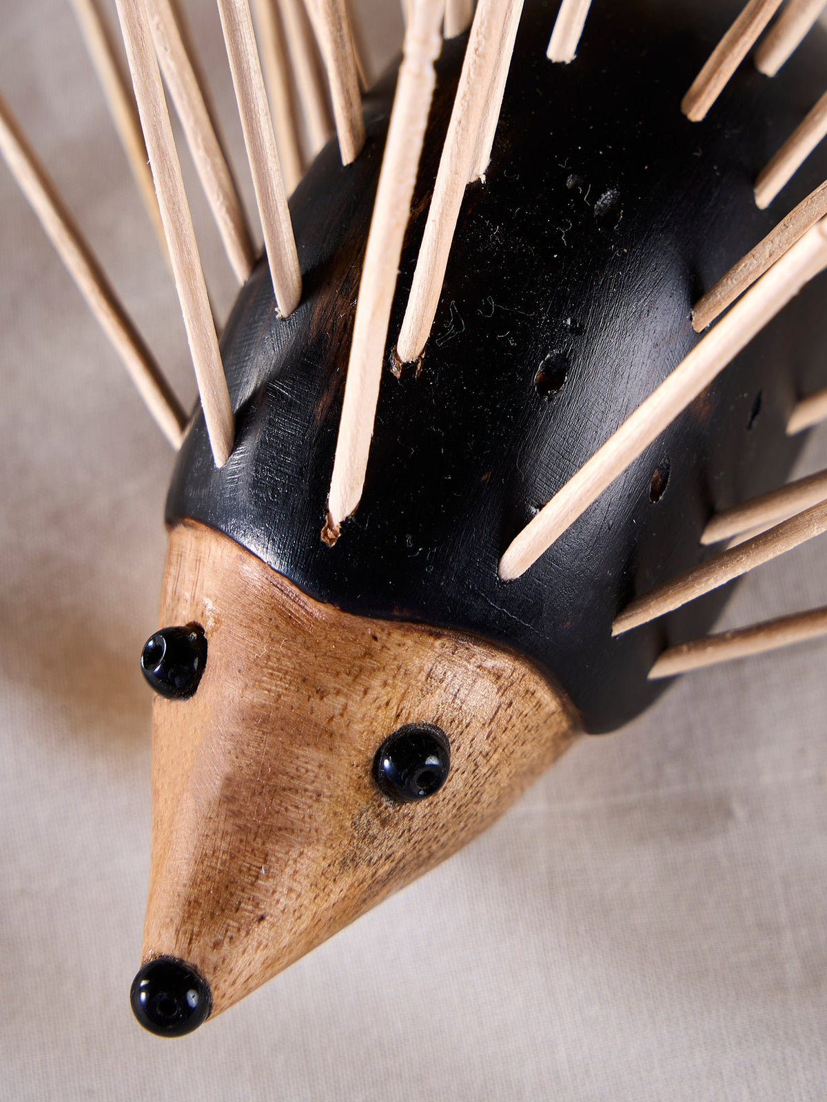 Animal Kingdom - Hedgehog