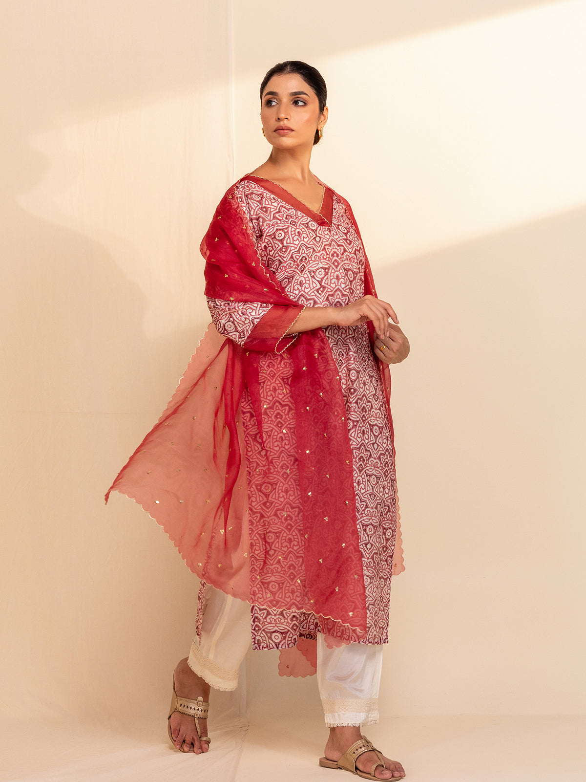 Red Velvet Organza Dupatta