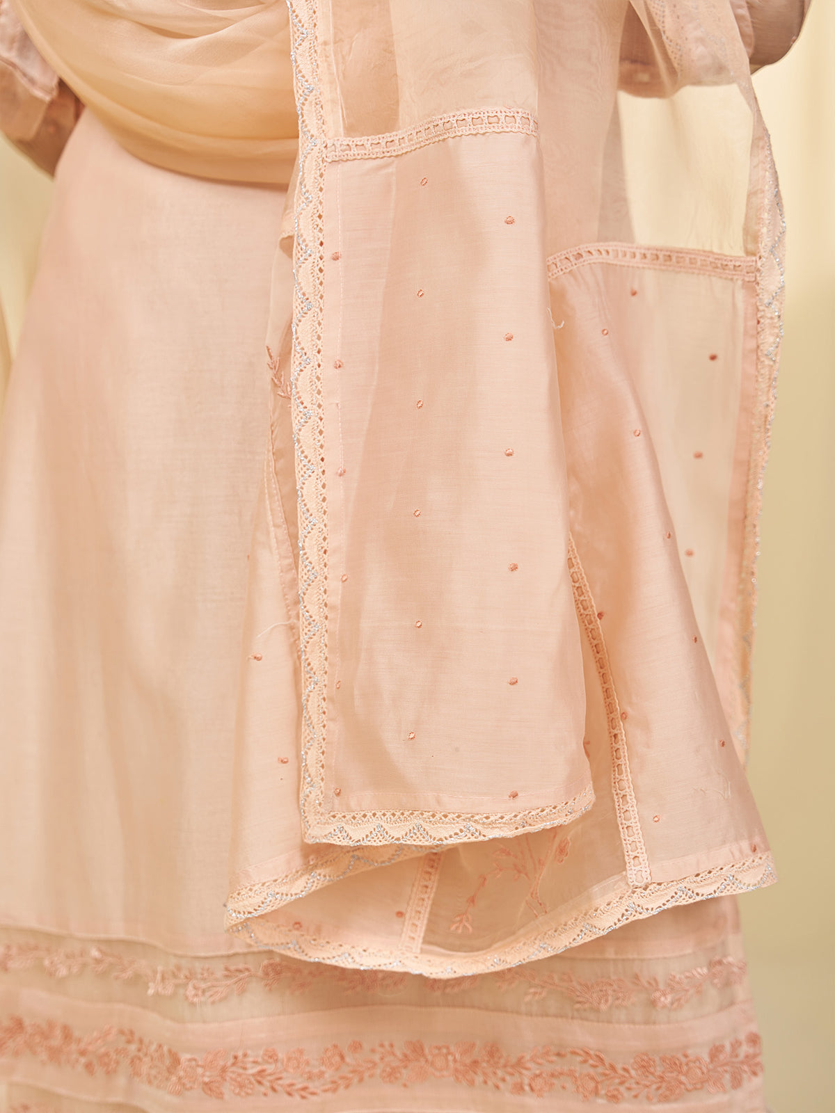 Naturals Blush Organza Dupatta