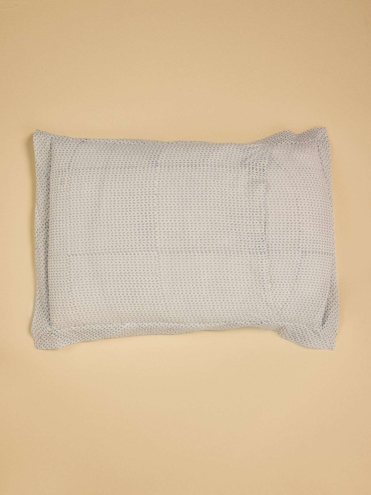 Udaipur Pillow Cover (Set of 2)