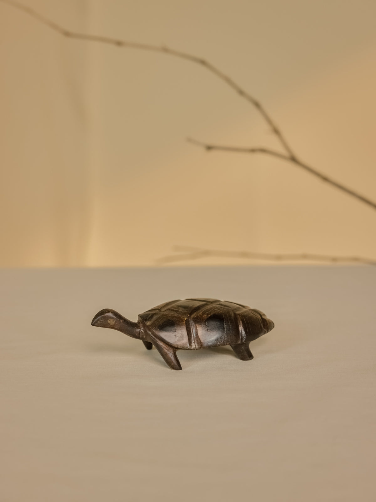Tortoise Small