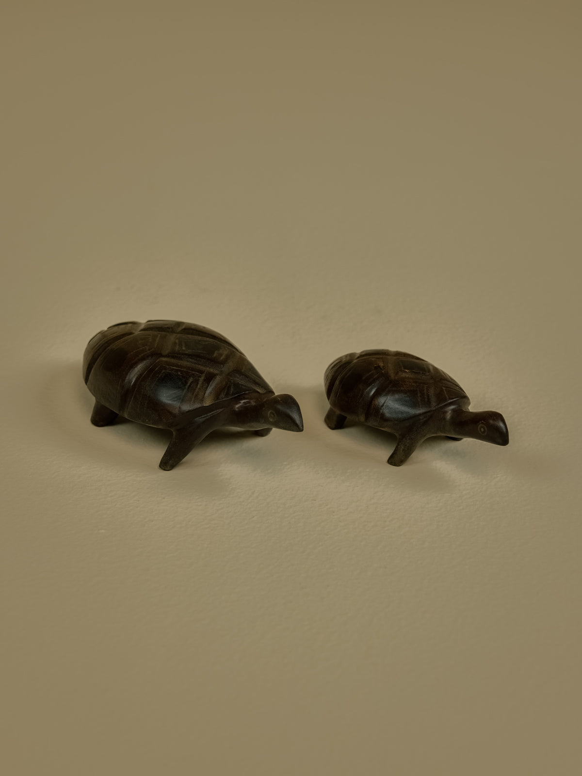Tortoise Small