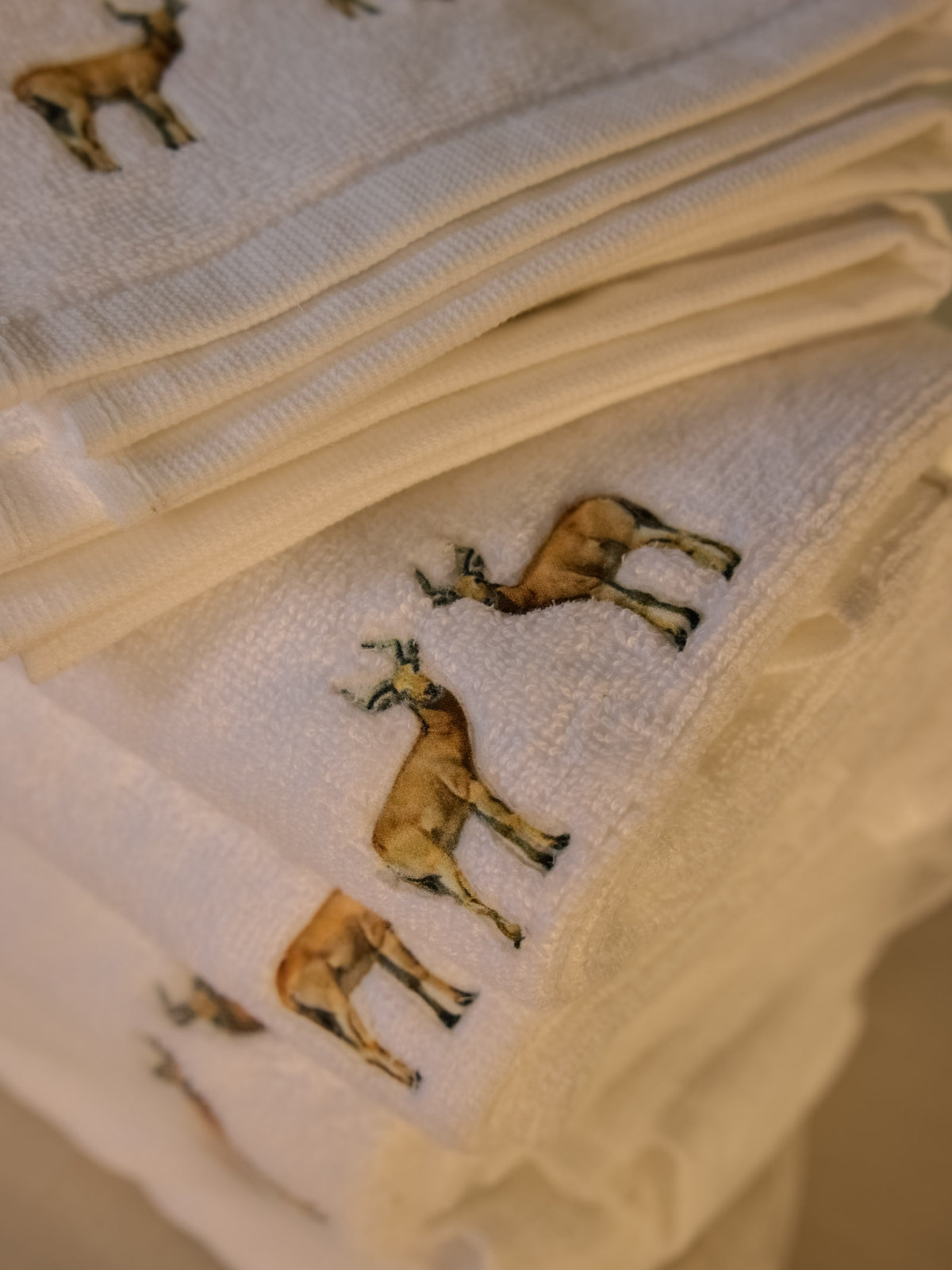 Reedbuck White Hand Towel (Set of 2)