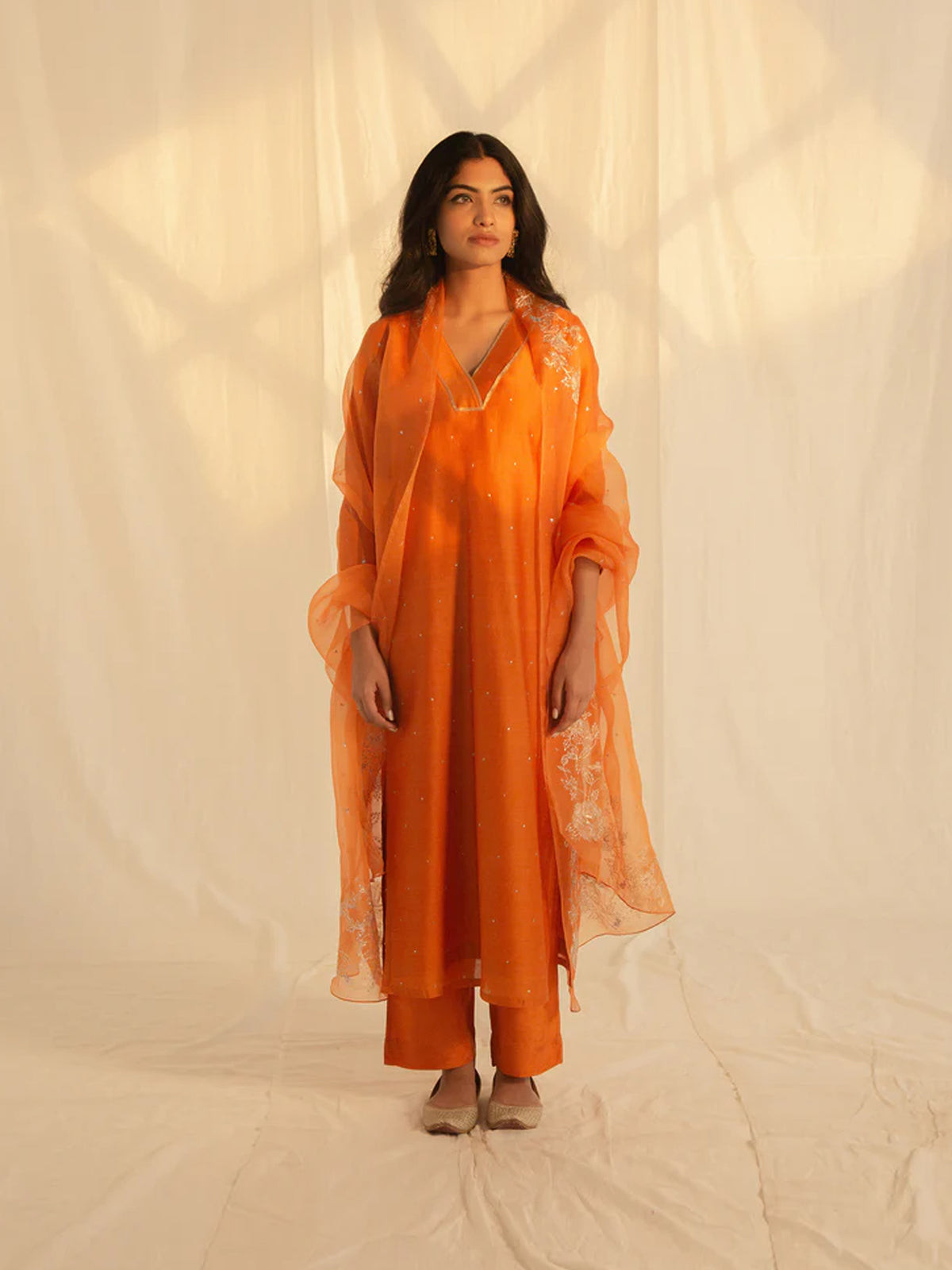Festive Burnt Orange Organza Dupatta