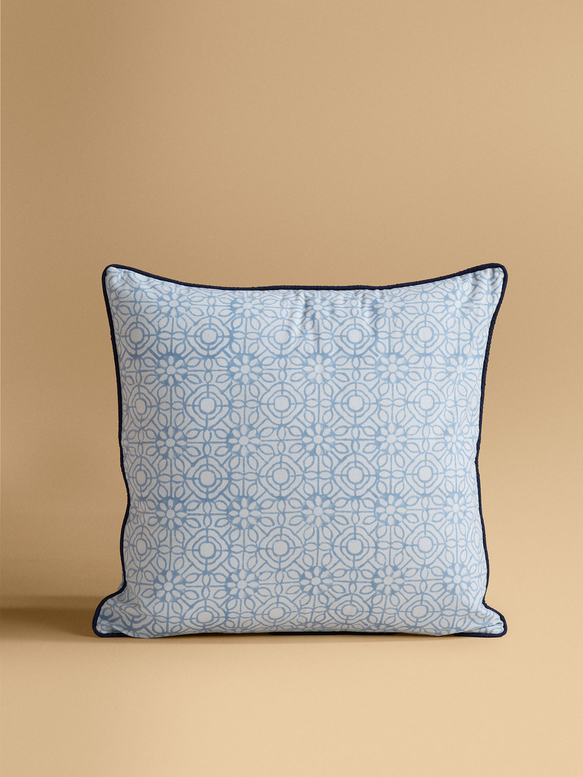 Lake Pichola 20" x 20" Cushion Cover