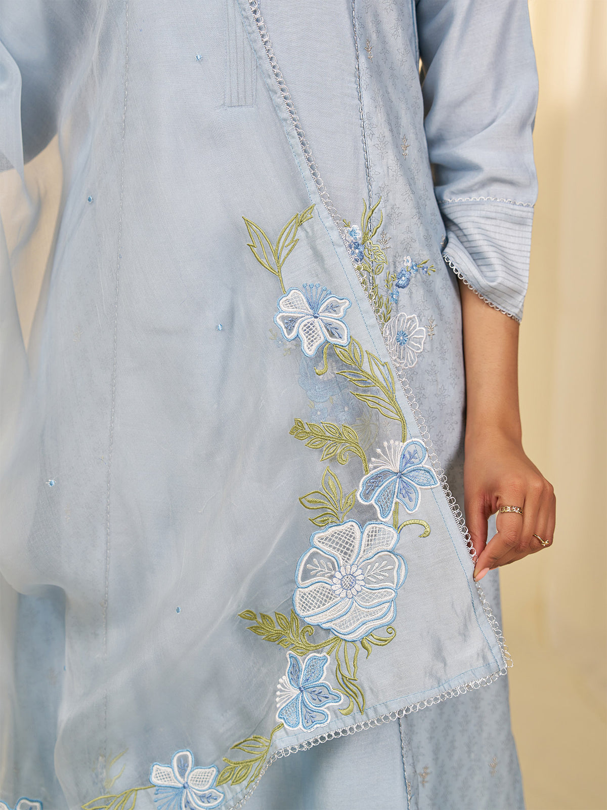 Naturals Blue Organza Dupatta