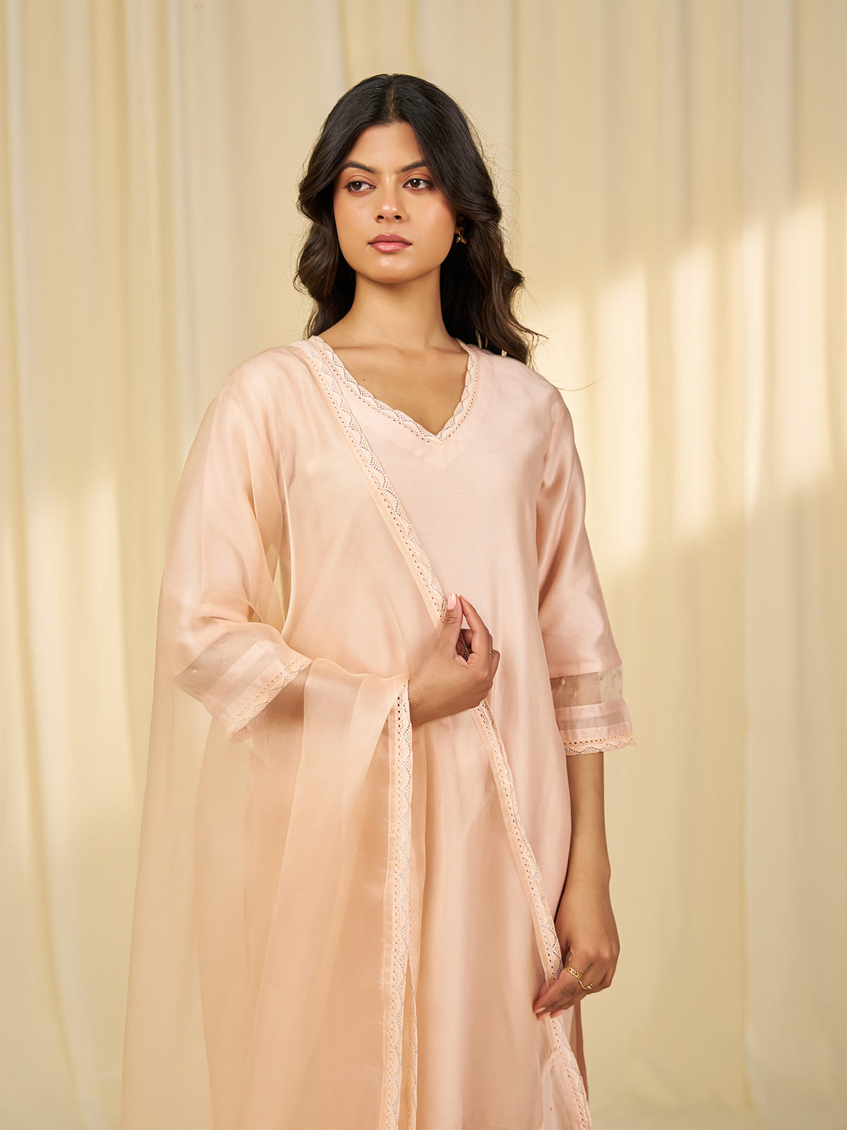 Naturals Blush Organza Dupatta