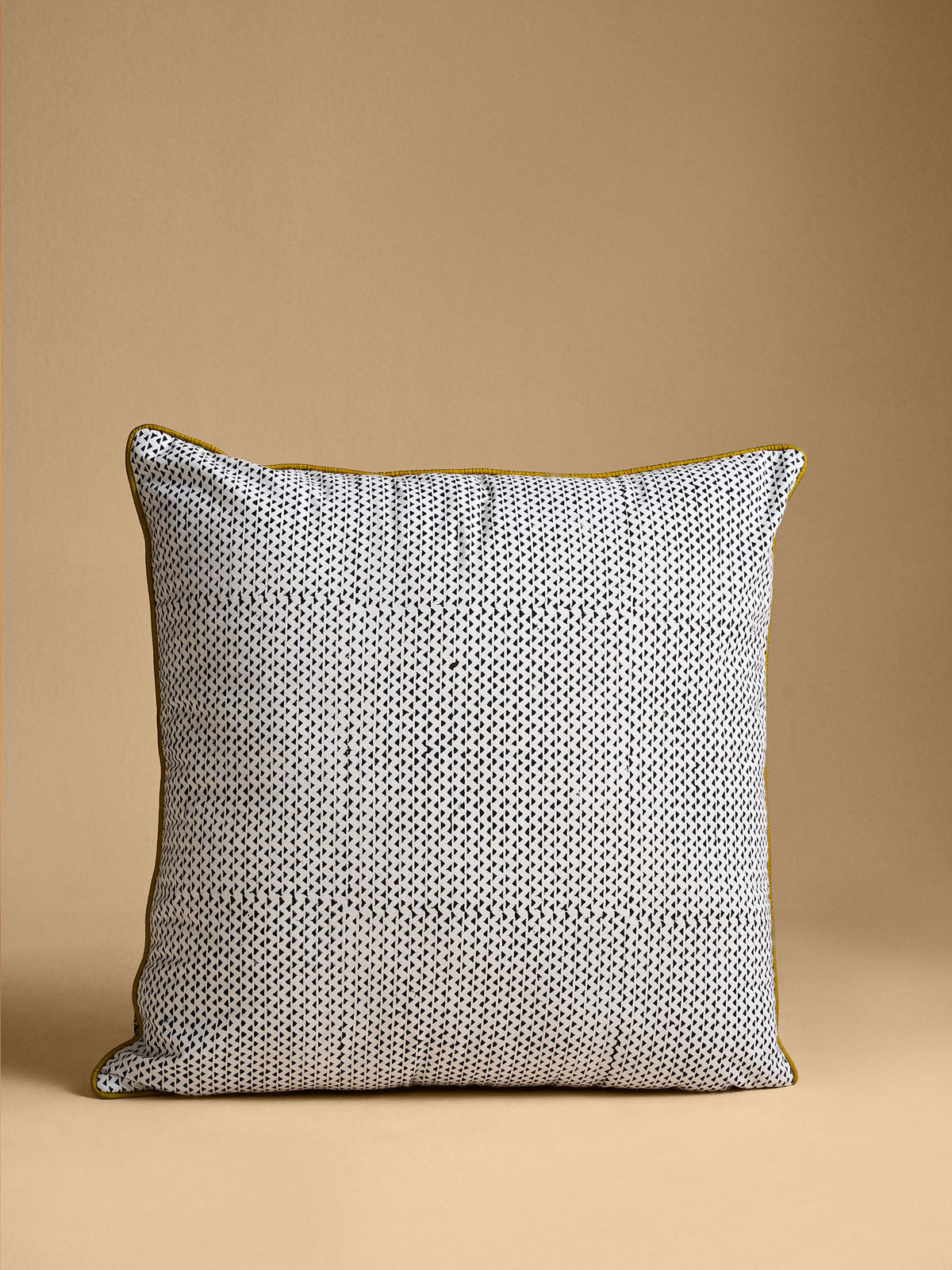 Kumbhalgarh 20" x 20" Cushion Cover